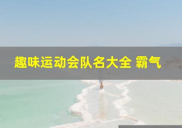 趣味运动会队名大全 霸气